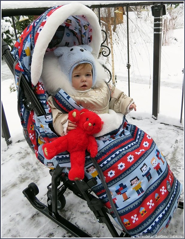 Димулька в зимней колясочке (фото 3)