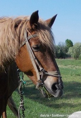 Завидушки взяли — Болталка и разговоры обо всем: жизнь