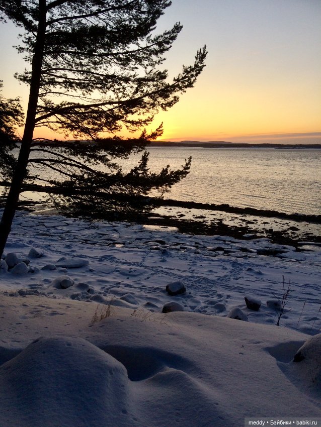 По следам Нового года — Болталка и разговоры обо всем: жизнь (фото 3)