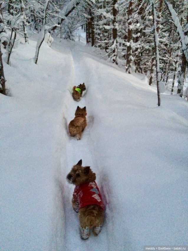 По следам Нового года — Болталка и разговоры обо всем: жизнь