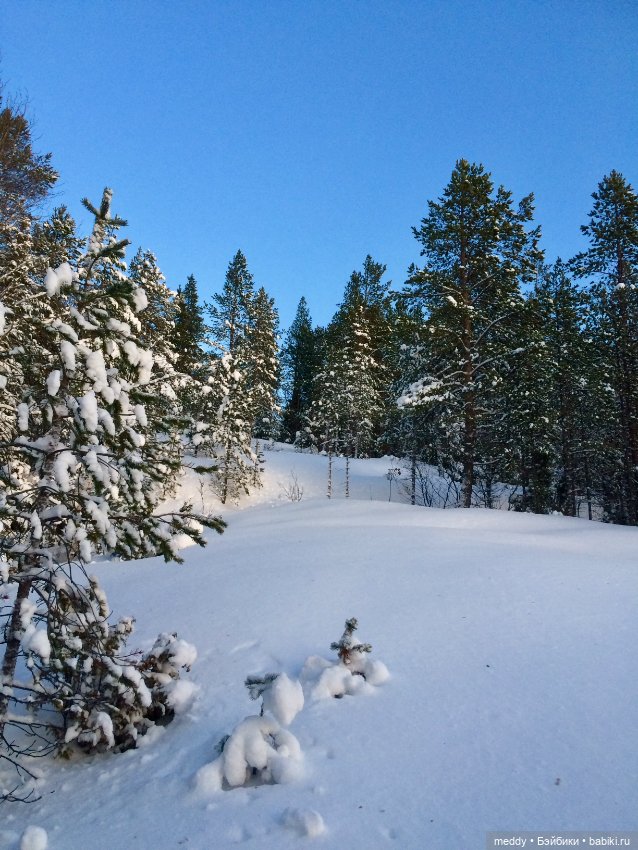 По следам Нового года — Болталка и разговоры обо всем: жизнь (фото 5)