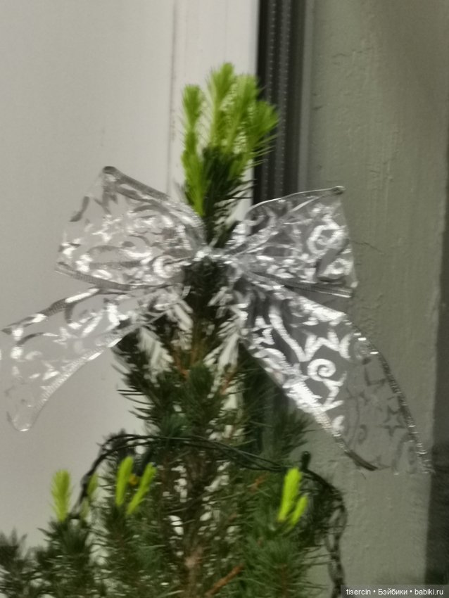 Крещение — Болталка и разговоры обо всем: жизнь