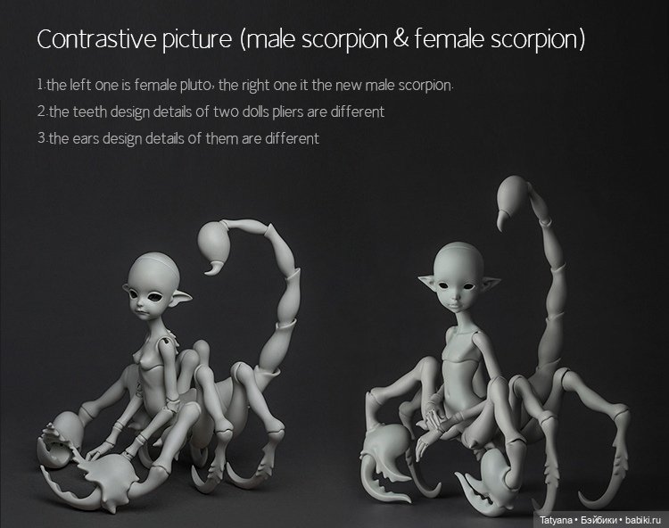 Doll Chateau - Cephalopod (фото 5)