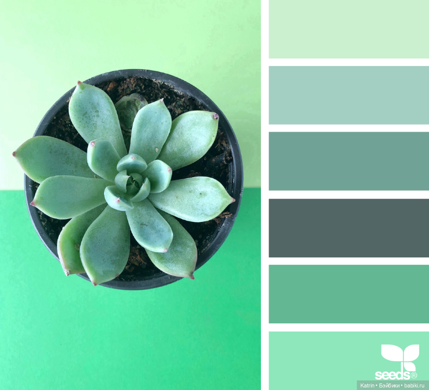 Сочетание цветов — Сочетание цветов: палитры для одежды и интерьера (фото 9)