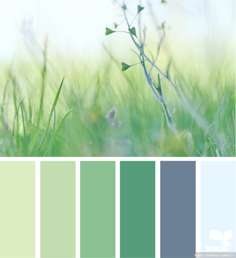 Сочетание цветов — Сочетание цветов: палитры для одежды и интерьера (фото 2)