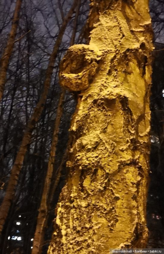 Вечер, Мышки в снежном лесу (фото 5)