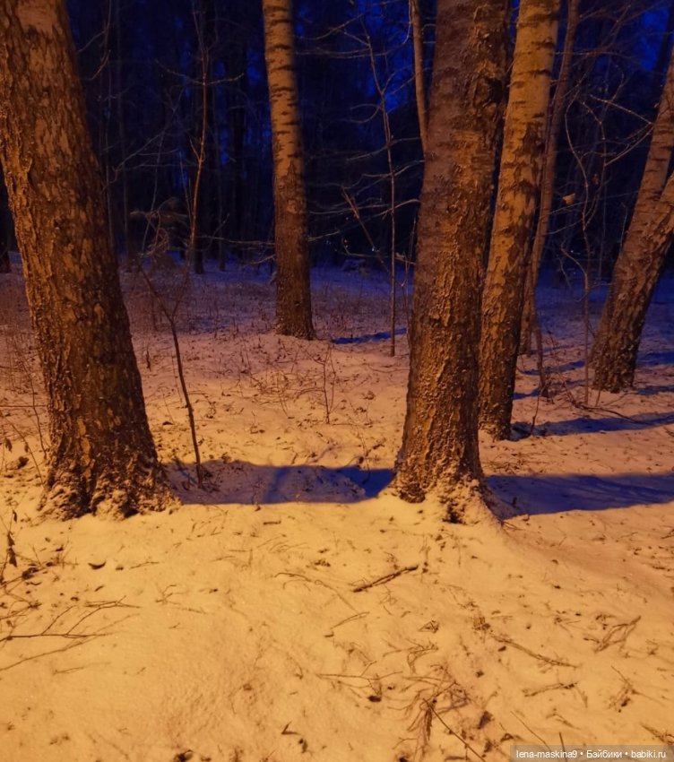 Вечер, Мышки в снежном лесу