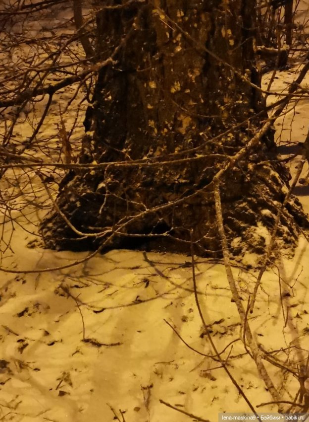 Вечер, Мышки в снежном лесу