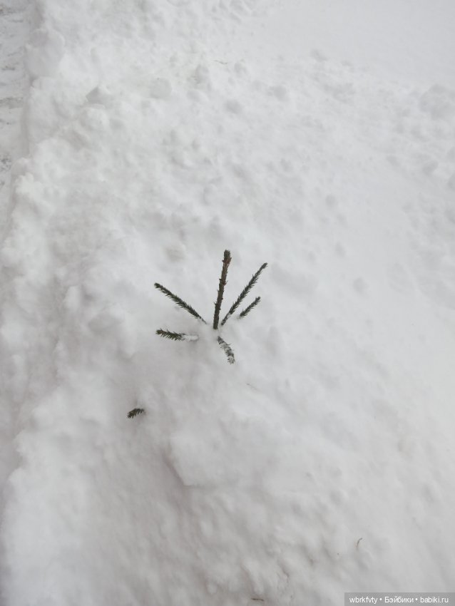 Немного зимы — Болталка и разговоры обо всем: жизнь (фото 4)