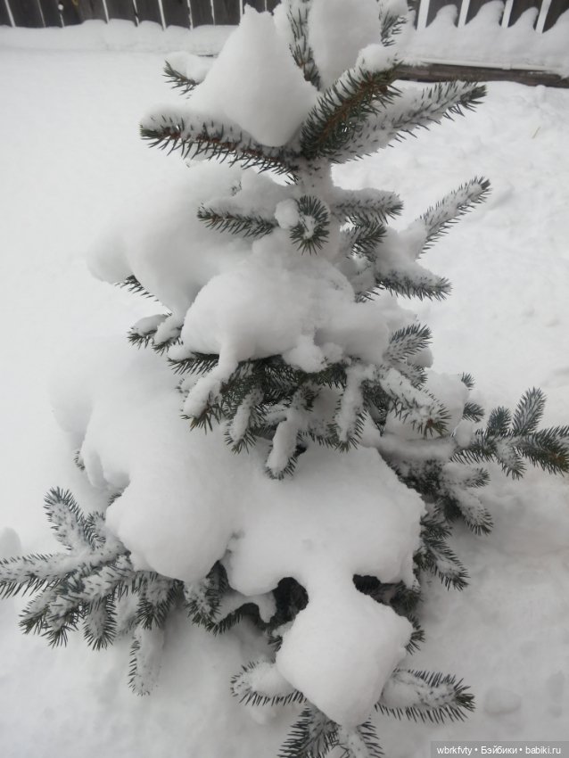 Немного зимы — Болталка и разговоры обо всем: жизнь