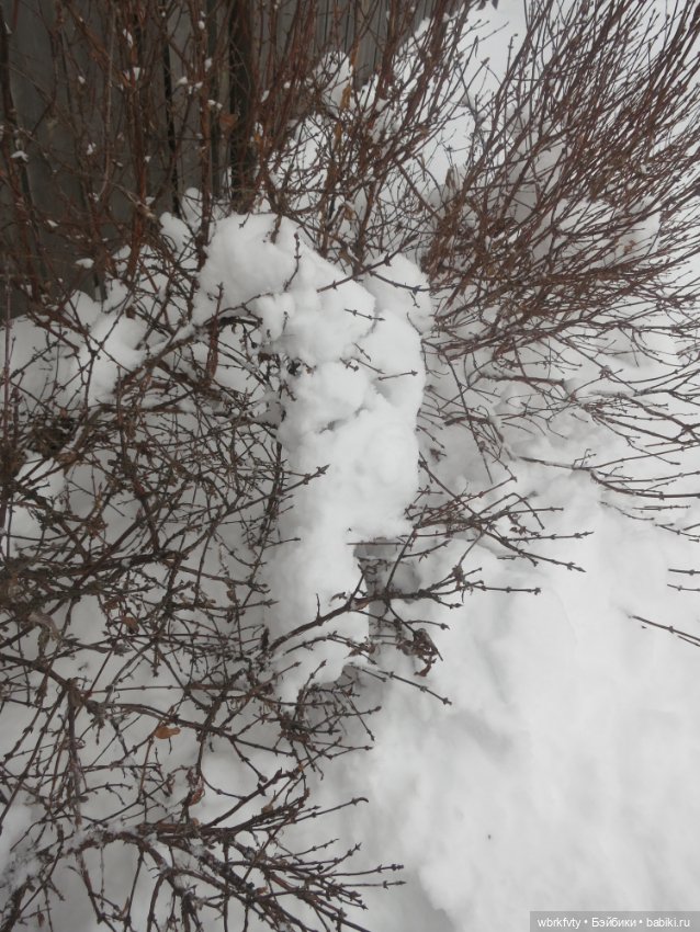 Немного зимы — Болталка и разговоры обо всем: жизнь (фото 10)