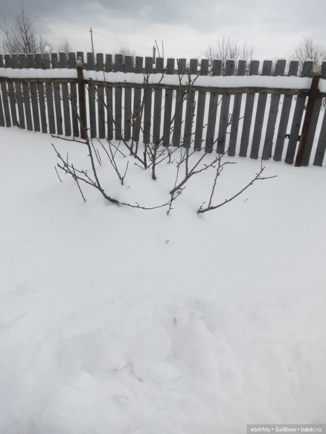 Немного зимы — Болталка и разговоры обо всем: жизнь