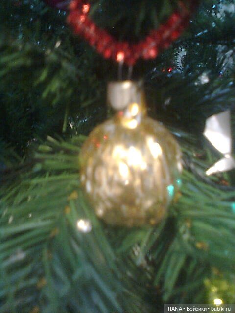 До свидания, ёлочка! До декабря