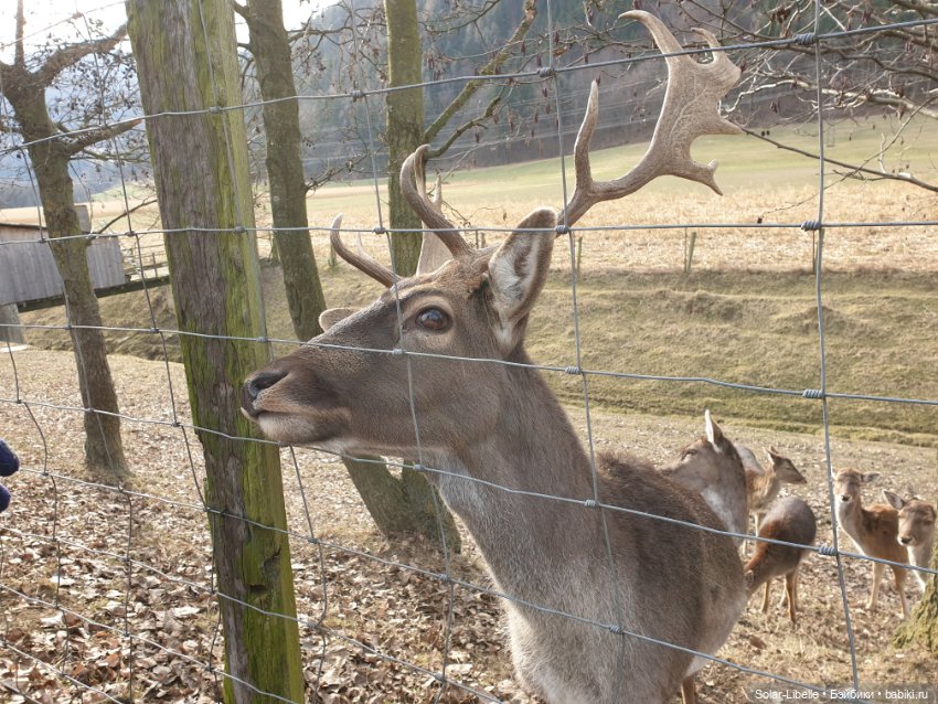 Страсти по Софии Готц и что у меня из этого вышло (фото 10)
