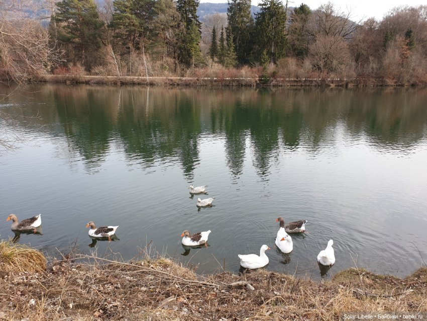 Страсти по Софии Готц и что у меня из этого вышло (фото 7)