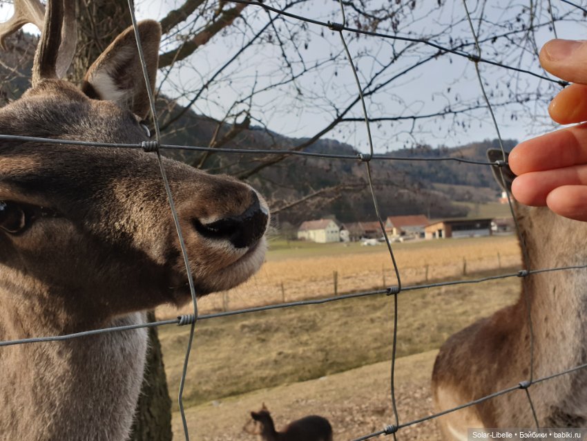 Страсти по Софии Готц и что у меня из этого вышло