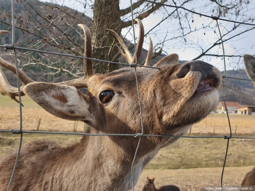 Страсти по Софии Готц и что у меня из этого вышло