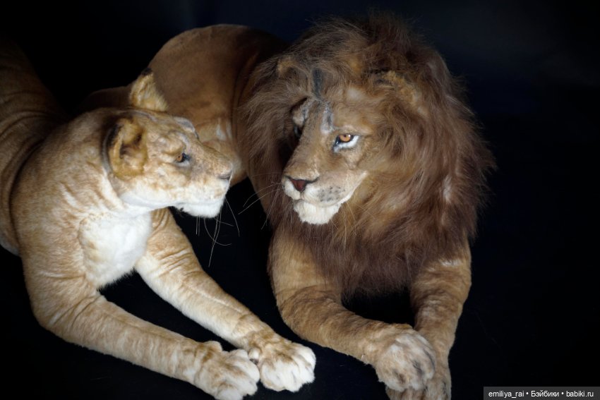 Лев и Львица. Реалистичные игрушки