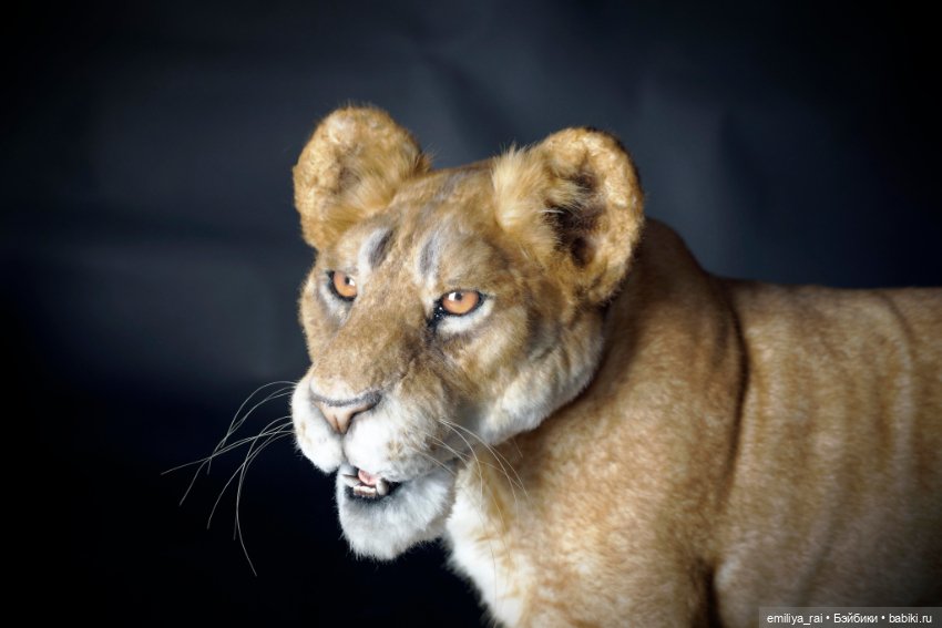 Лев и Львица. Реалистичные игрушки
