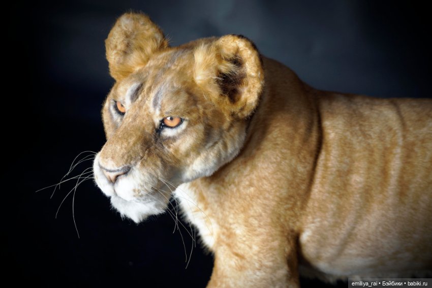 Лев и Львица. Реалистичные игрушки