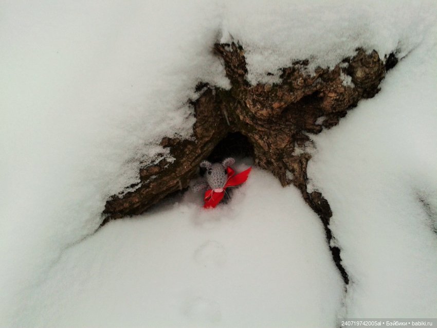 Рождественская сказка Альфа (фото 6)