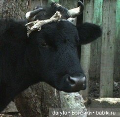 Жизнь... она извилистая — Болталка и разговоры обо всем: жизнь