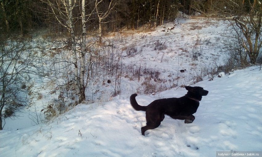 Снег мороз замёрзший нос — Гибриды шарнирных кукол (не БЖД): подбор тела (фото 9)