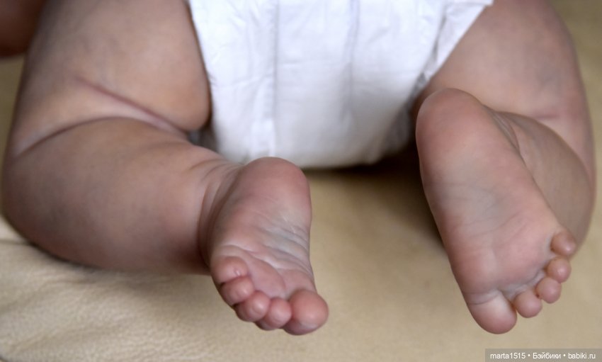 Мой пухленький хомячок Медди. Куклы реборн Захаровой Елены