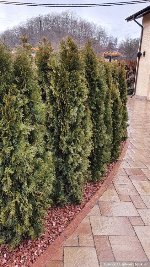 Выходные в Адыгее — Туризм и путешествия: фотоотчеты из поездок (фото 6)