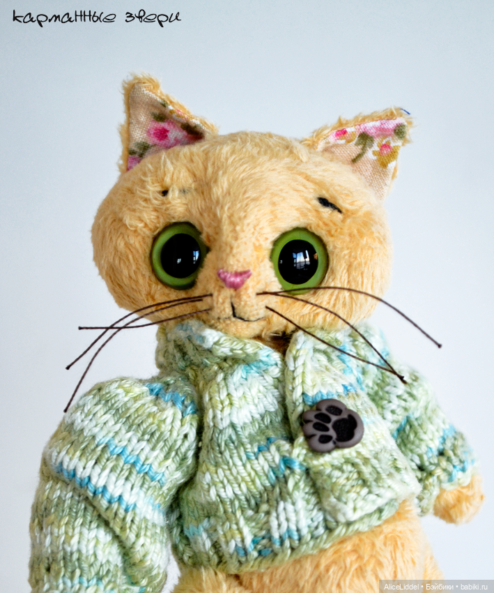 Котик которого зовут Нильс Сильвестрович (фото 3)