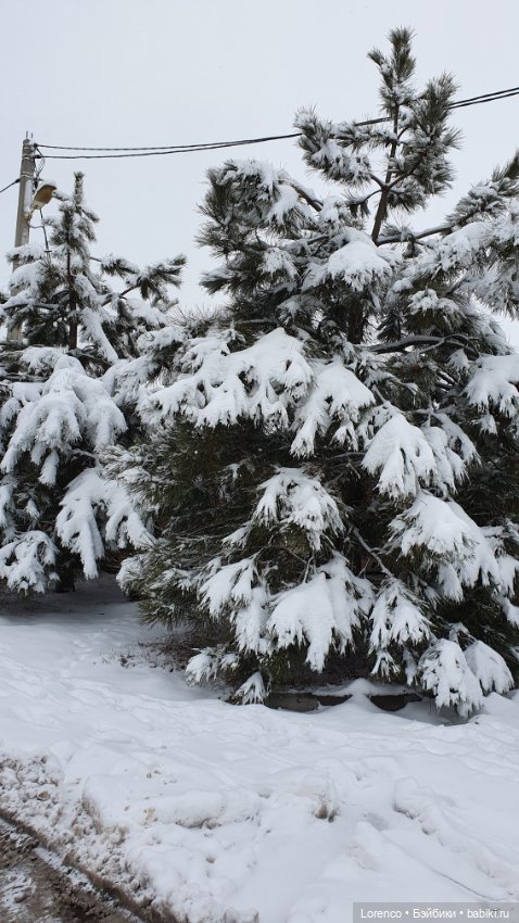 Зимние пейзажи — Болталка и разговоры обо всем: жизнь (фото 2)