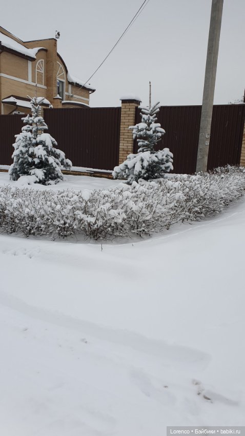 Зимние пейзажи — Болталка и разговоры обо всем: жизнь (фото 9)