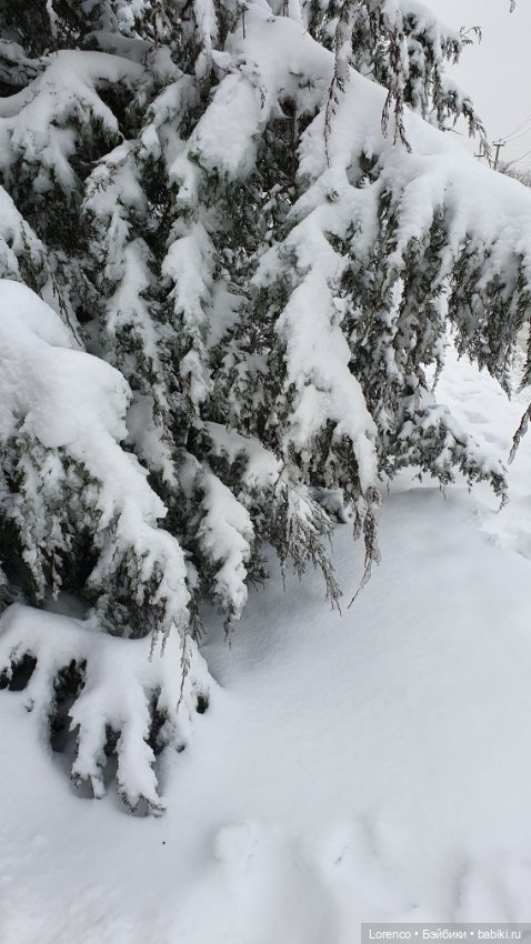 Зимние пейзажи — Болталка и разговоры обо всем: жизнь (фото 10)