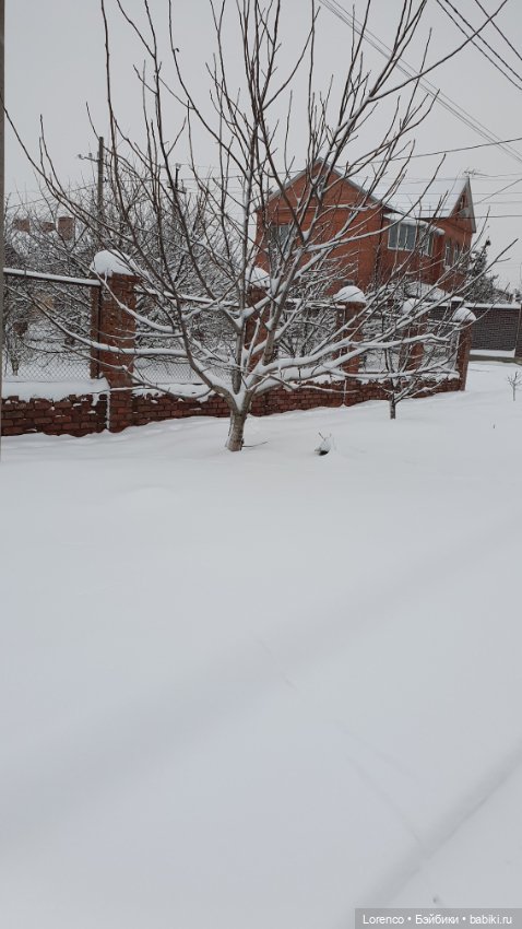 Зимние пейзажи — Болталка и разговоры обо всем: жизнь