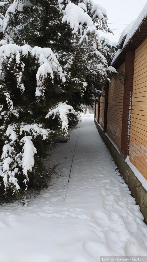 Зимние пейзажи — Болталка и разговоры обо всем: жизнь (фото 7)