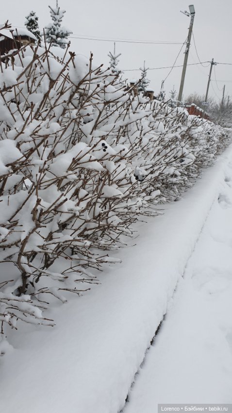 Зимние пейзажи — Болталка и разговоры обо всем: жизнь