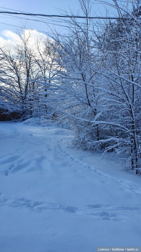 Зимние пейзажи — Болталка и разговоры обо всем: жизнь
