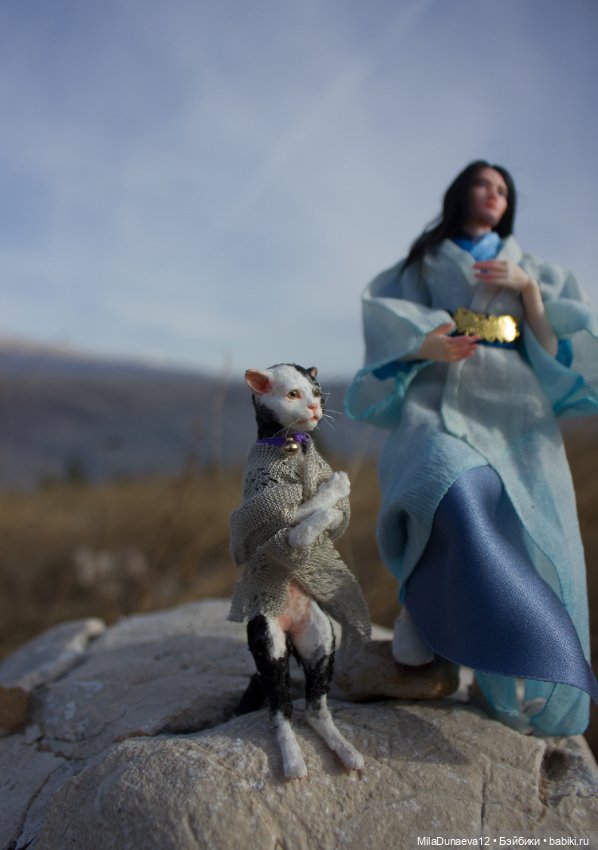 Путешествие Лина и Кота — Авторские куклы BJD (БЖД) у нас дома: фото (фото 7)