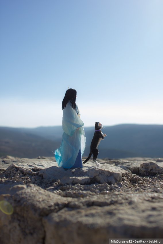 Путешествие Лина и Кота — Авторские куклы BJD (БЖД) у нас дома: фото