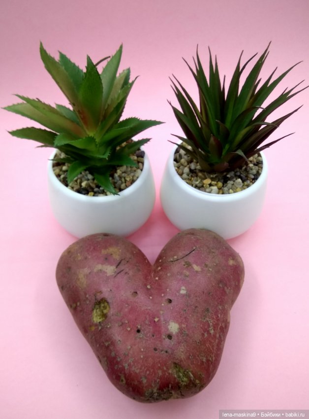 Воздушный поцелуй и картошка (фото 10)