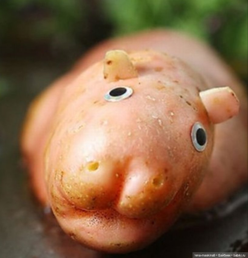 Куклы и игрушки из картошки