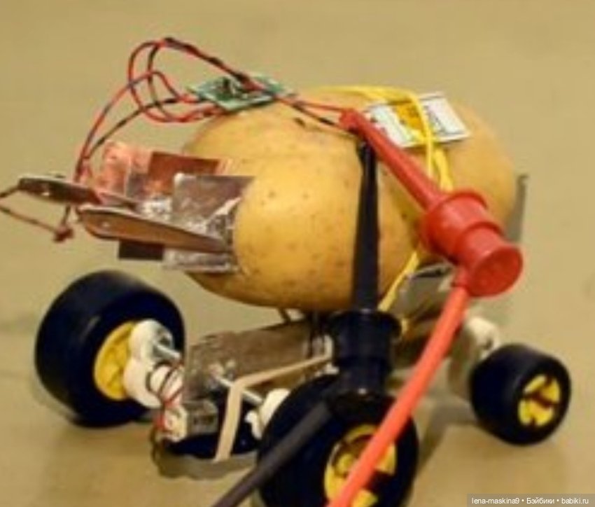 Куклы и игрушки из картошки