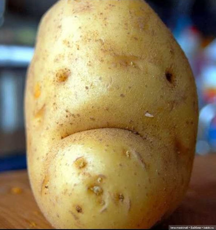 Куклы и игрушки из картошки (фото 9)