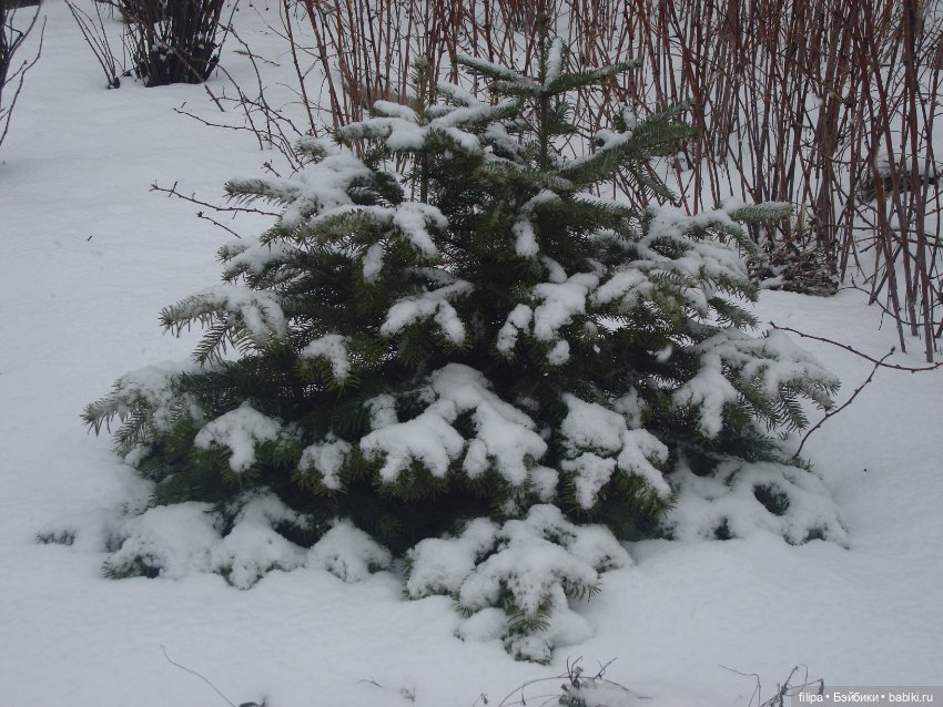 Малыш Арсений на небольшой прогулке