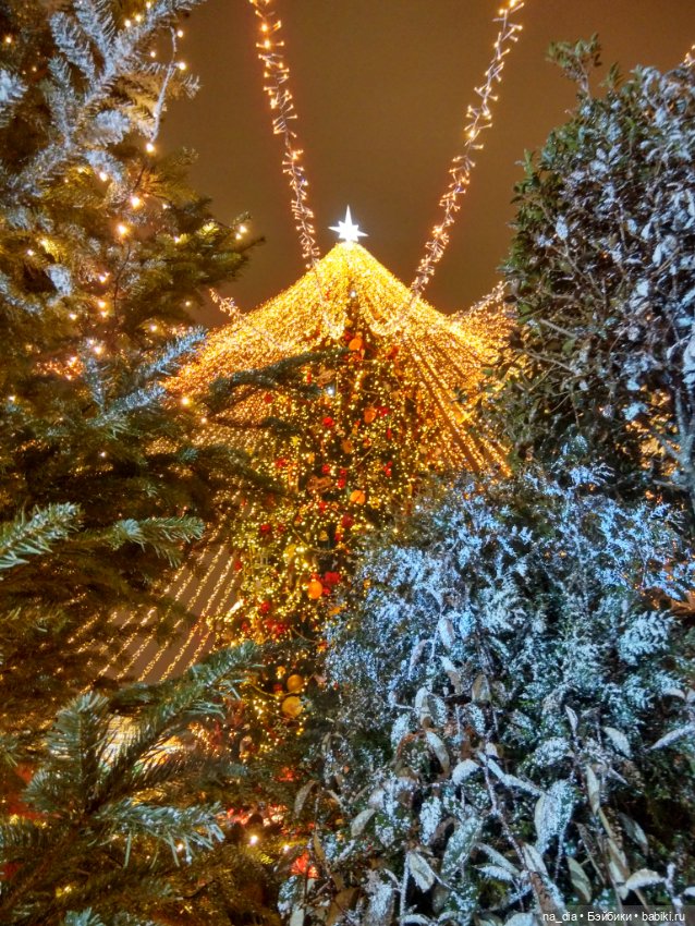 Приключения Саяры. Новый год на Красной площади