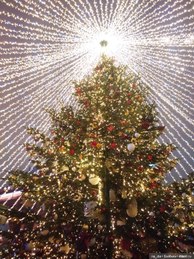 Приключения Саяры. Новый год на Красной площади (фото 7)