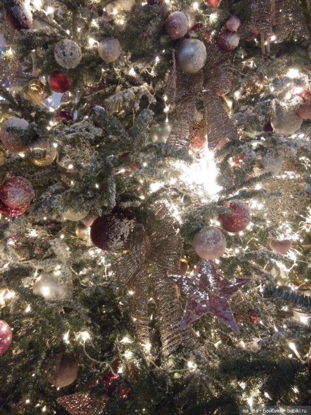 Приключения Саяры. Новый год на Красной площади (фото 9)