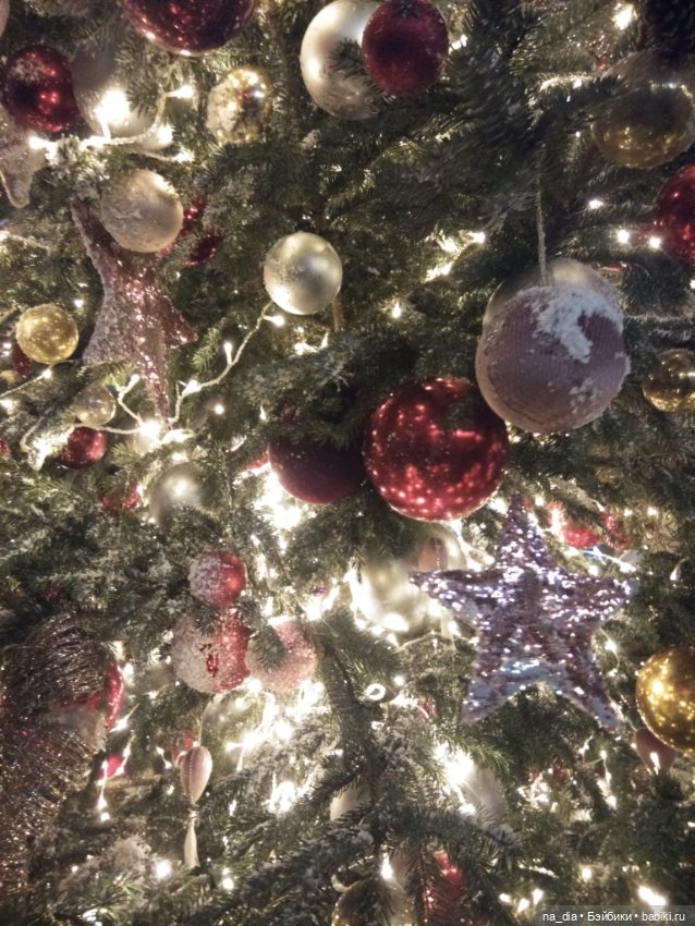 Приключения Саяры. Новый год на Красной площади (фото 8)