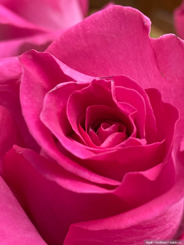 Моя любовь — Домашние фото авторских кукол: личные коллекции