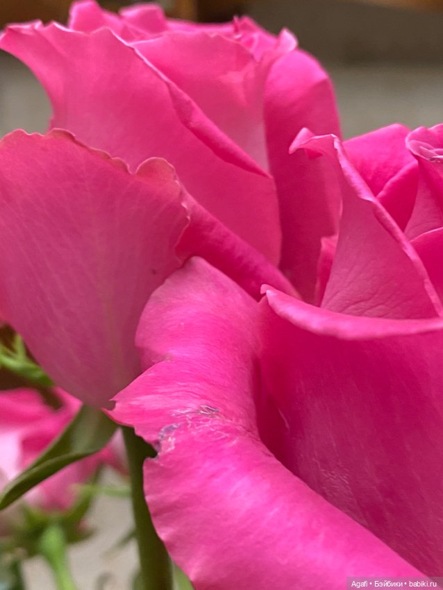 Моя любовь — Домашние фото авторских кукол: личные коллекции